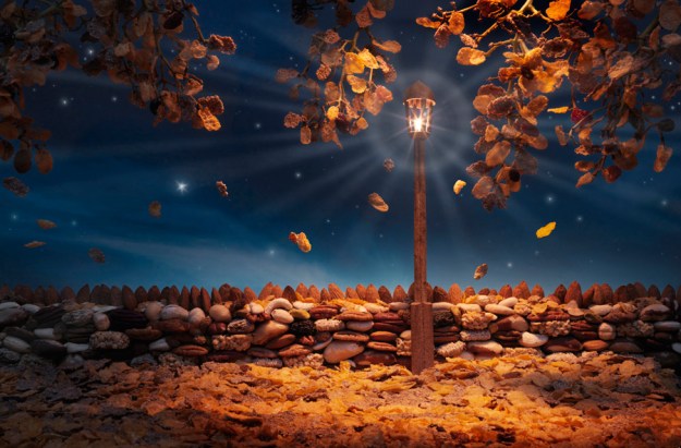 Autumn-Flakes. Carl Warner